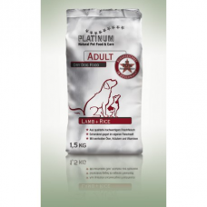 platinum-adult-lambrice